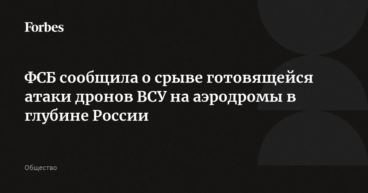ФСБ пресекла атаки дронами на аэродромы: у 24 БПЛА нашли нейросетевые модули против РЭБ